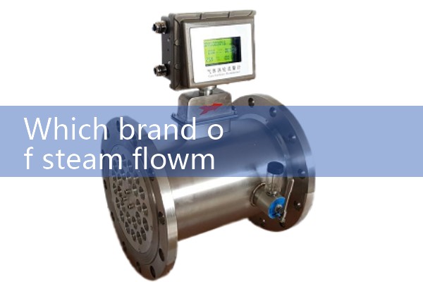 Remote transmission vortex flowmeter